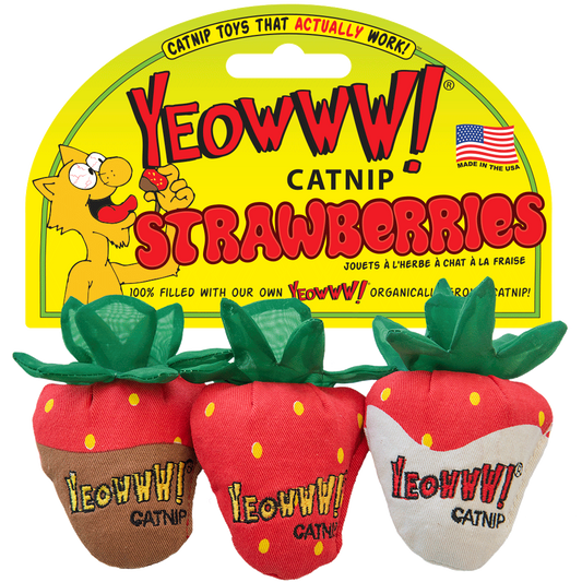Yeowww! Strawberry 3-pack