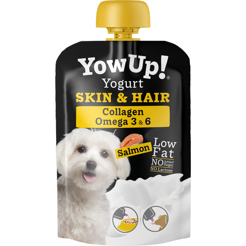 YowUp! Yaourt Naturel pour Chiens — Peau Saine & Pelage Brillant - Lot de 10