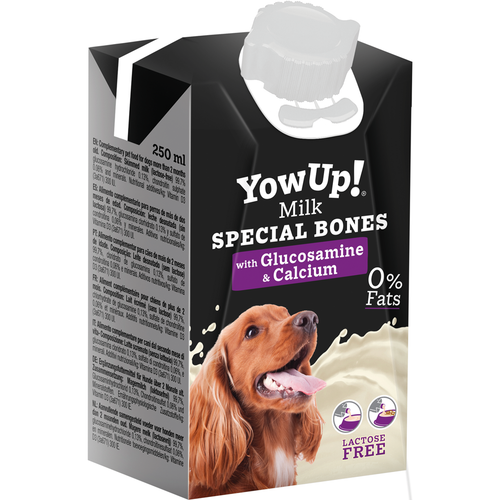 YowUp! Lait pour Chien — Sans Lactose & Sans Matières Grasses - Lot de 12