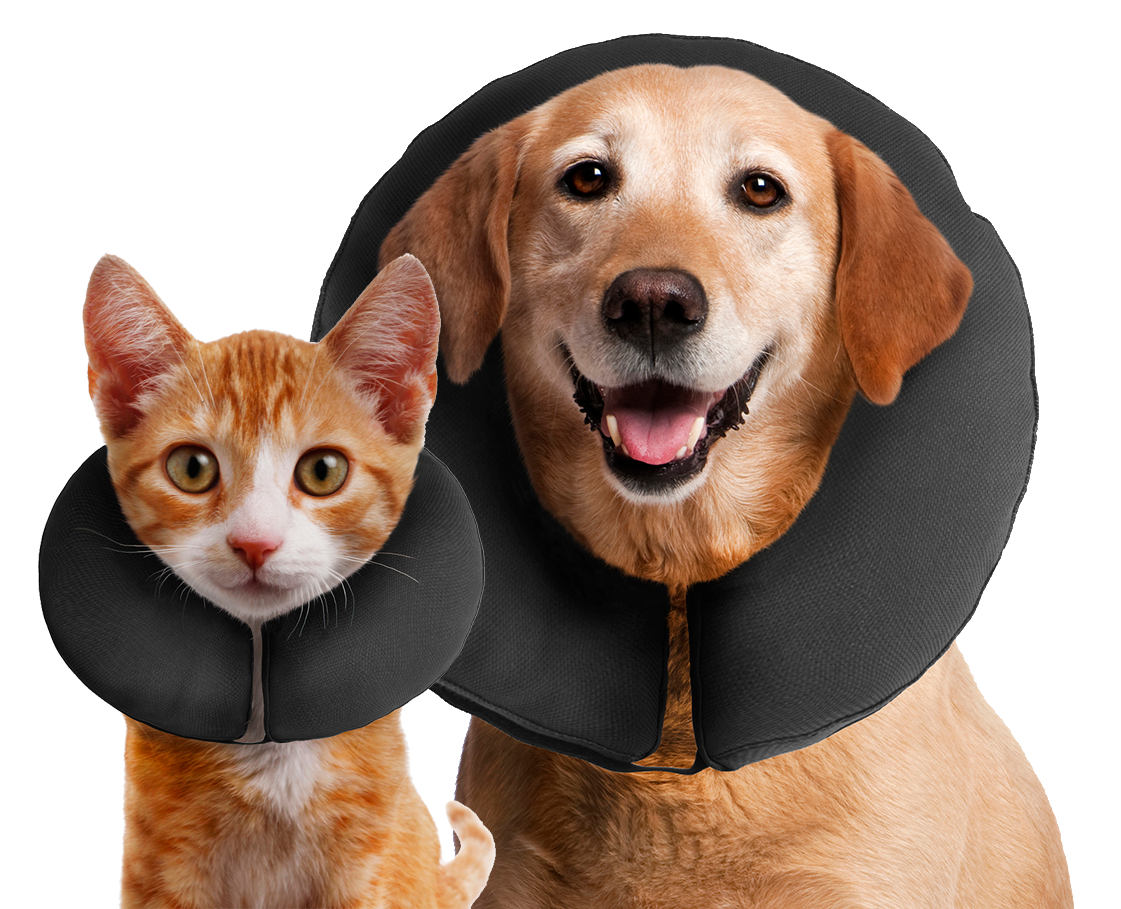 Zenpet ProCollar XXL