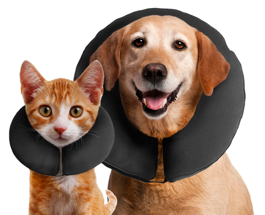 Zenpet ProCollar XXL