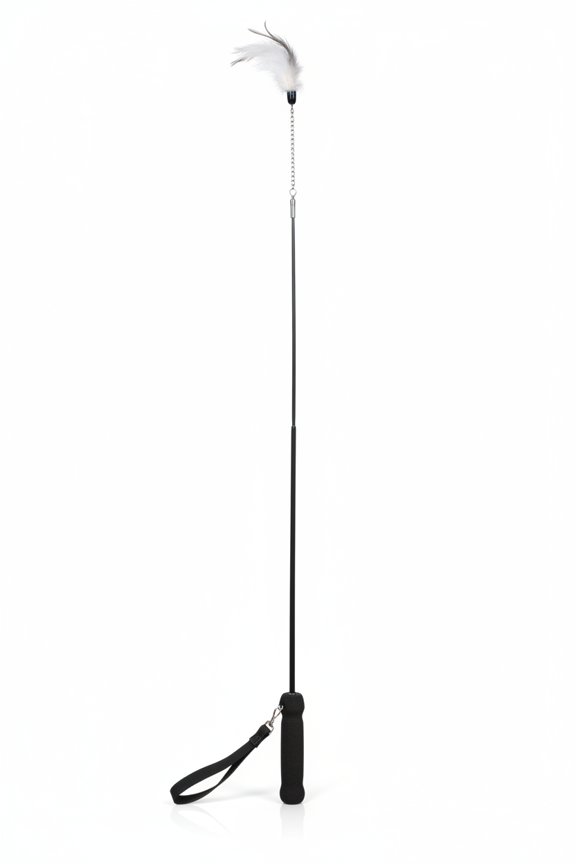 Riding crop fiber 90cm black