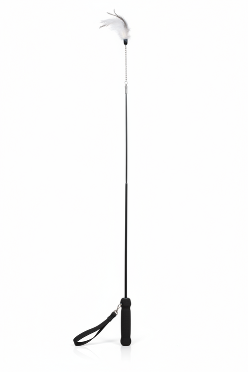 Cravache d’Équitation Fibre Noir – 90 cm