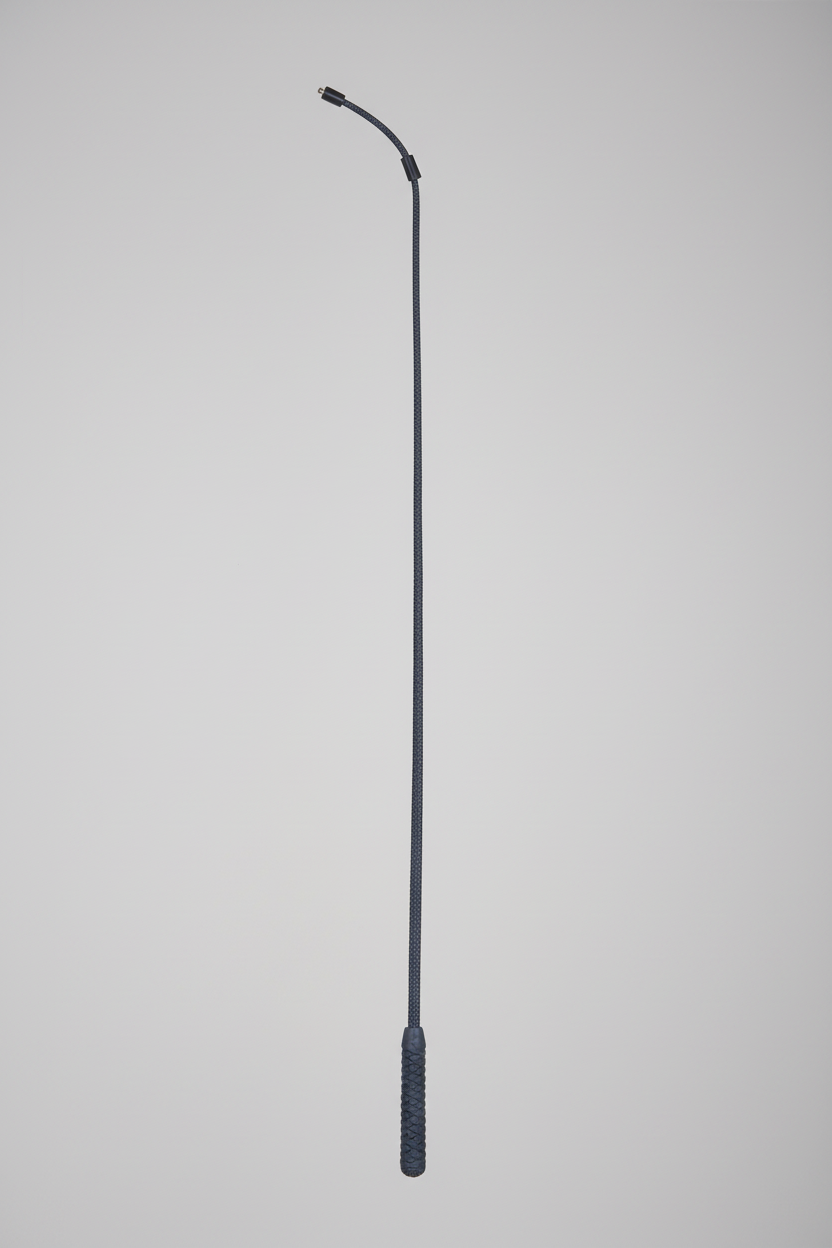 Dressage whip profi black