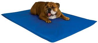 Tapis Rafraîchissant Topmast pour Chien Bleu 90 x 50 cm
