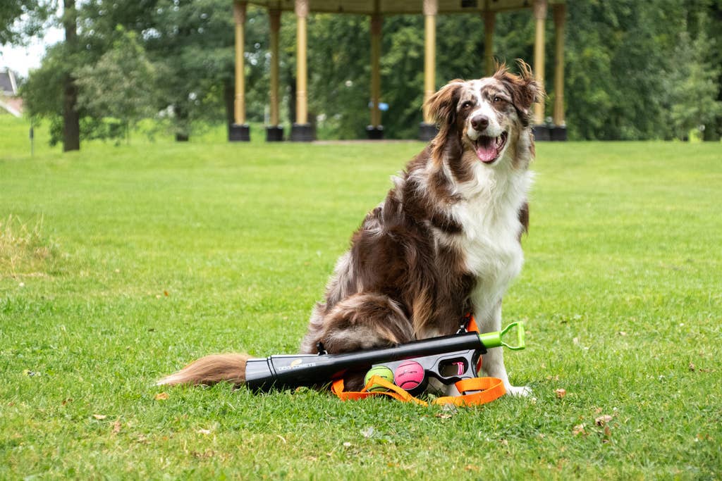 Lanceur de Balle Dog Comets — Des heures de jeu actif ! Hofman Animal Care