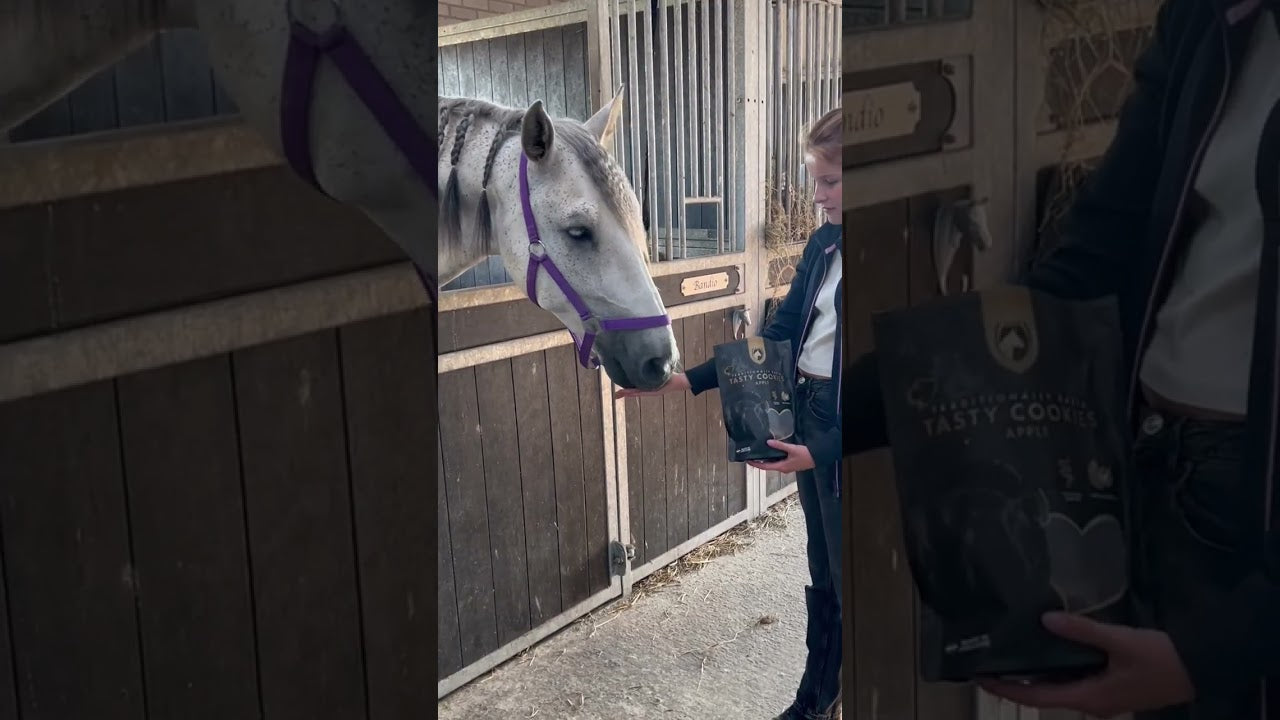 Excellent Horse Artisanal Horse Biscuits Apple