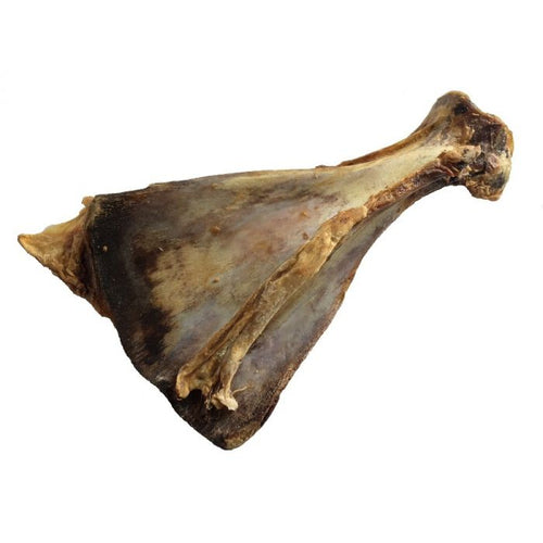 Omoplate de bœuf XL – Friandise de mastication naturelle