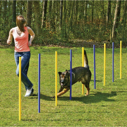 Slalom d'agility – lot de 6 Piquets - Topmast