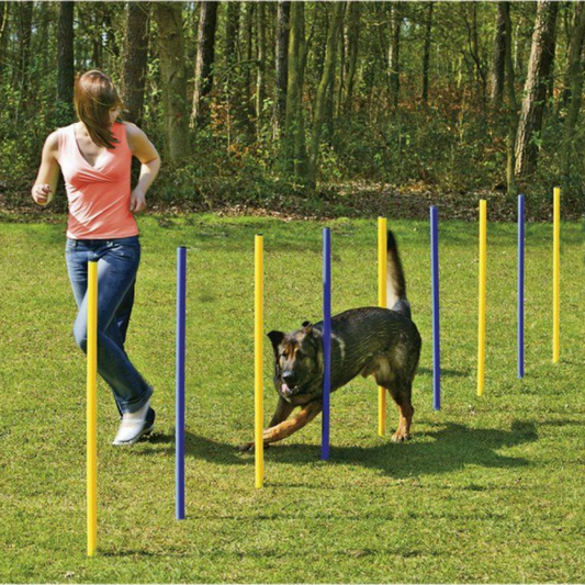 Slalom d'agility – lot de 6 Piquets - Topmast