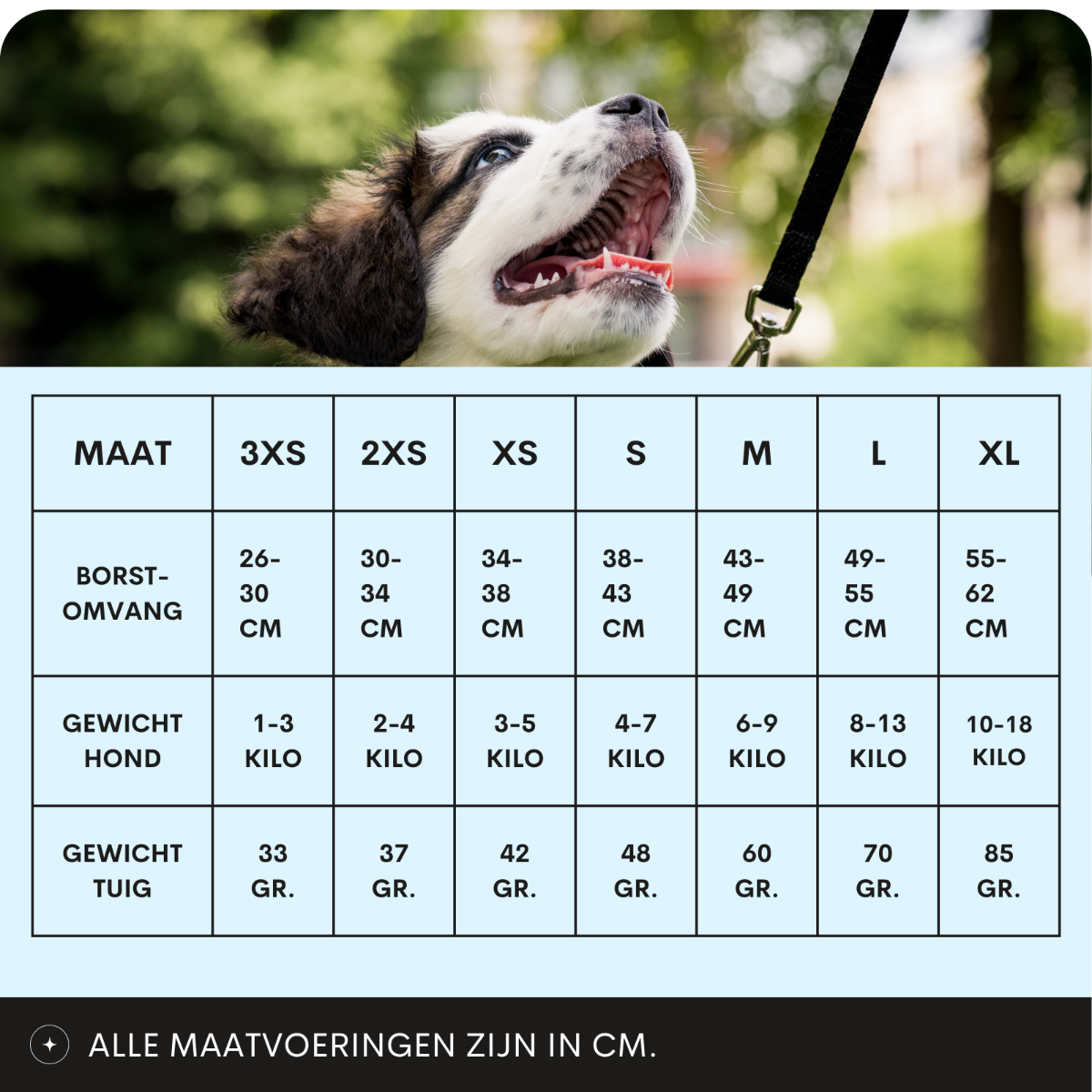 Topmast Airmesh Hondentuig - Click & Go - Verstelbaar - Mint