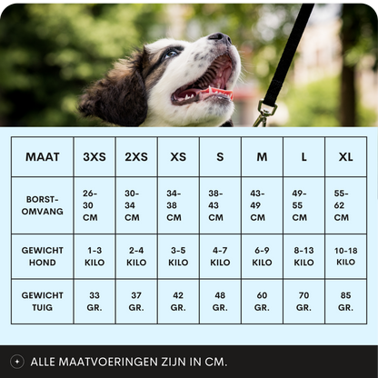 Topmast Airmesh Hondentuig - Click & Go - Verstelbaar - Mint
