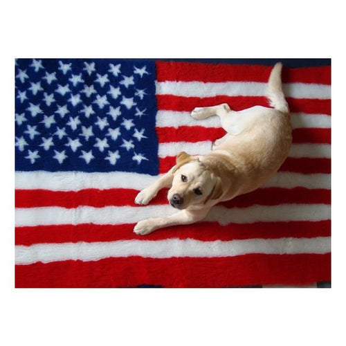 Tapis Vetbed Drapeau Américain - Antidérapant pour Chien