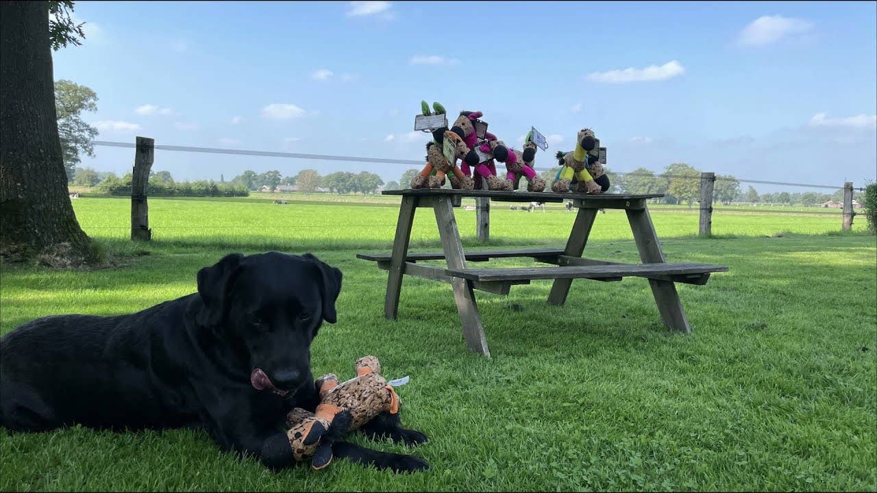 Retrodog Âne Bleu M Hofman Animal Care