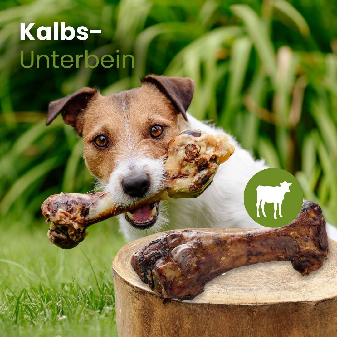 Jambe inférieure de veau sans conservateurs Kauartikel.com GmbH