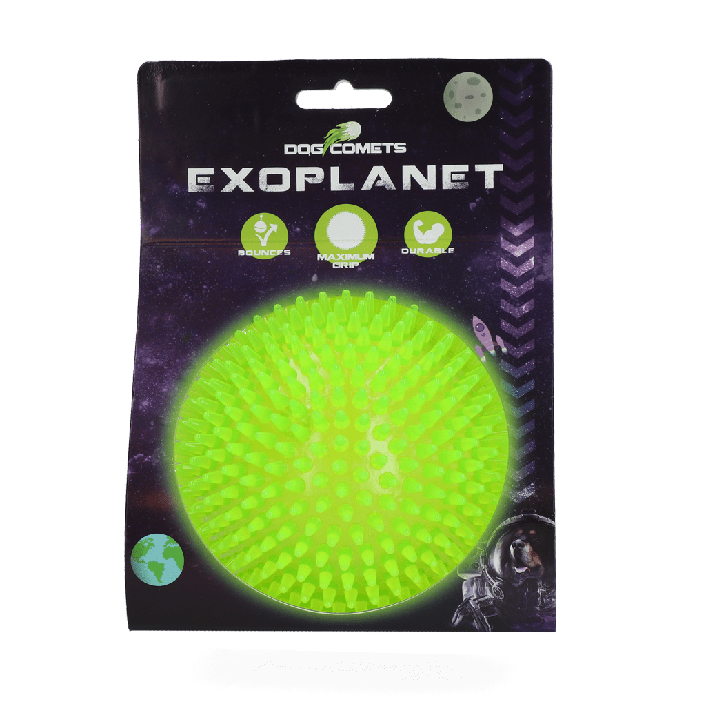 Balle à picots Dog Comets Exoplanet - La Meute Trufféo