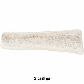 Bois de Cerf Fendus Doogy – Friandise à Mâcher pour Chien