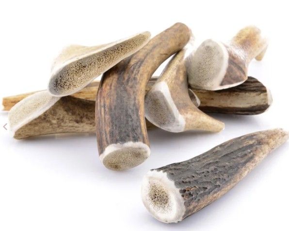 Bois de cerf naturel à mâcher pour chien - Trufféo