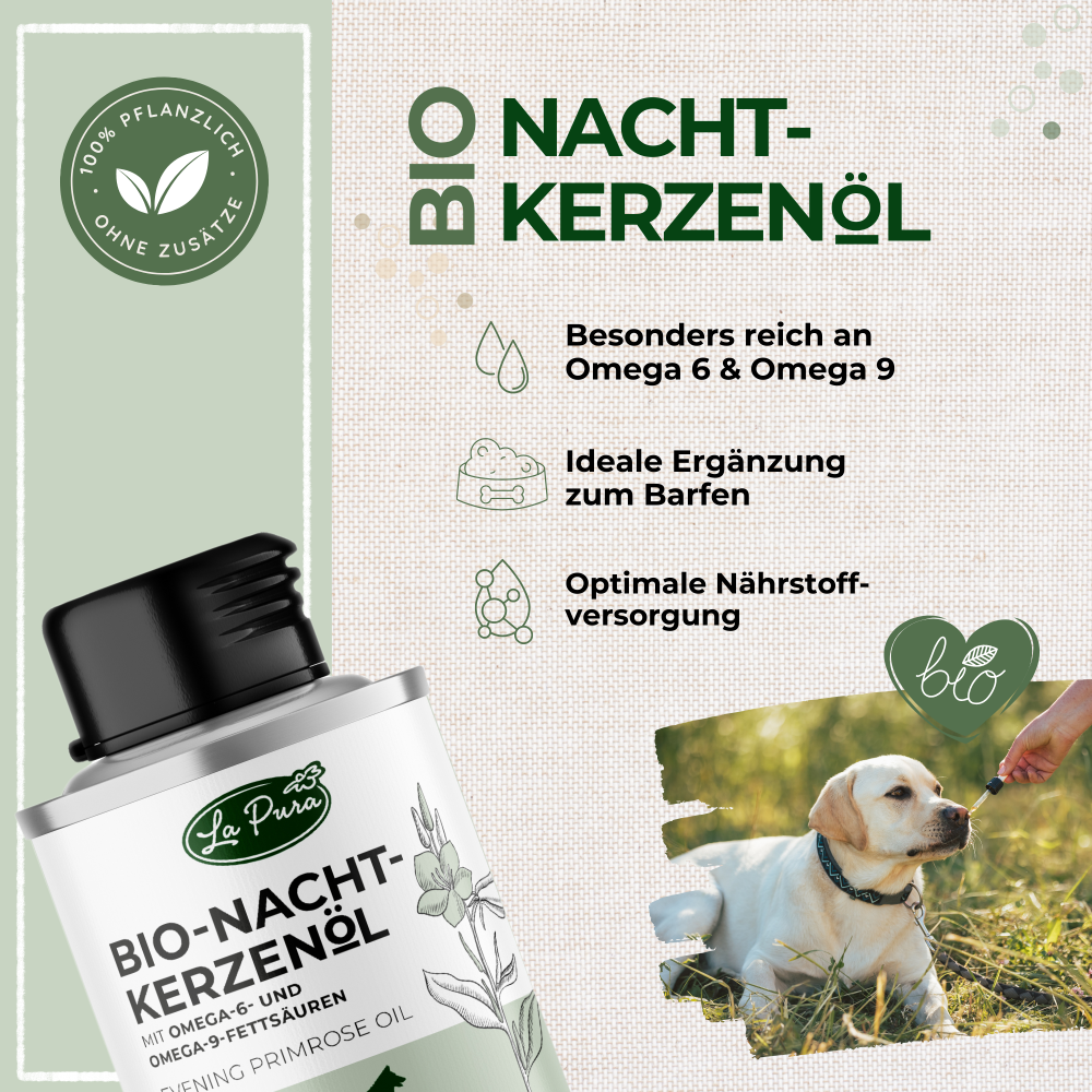 Huile de primevère bio LaPura 100 ml Kauartikel.com GmbH