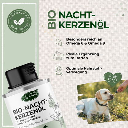 Huile de primevère bio LaPura 100 ml Kauartikel.com GmbH
