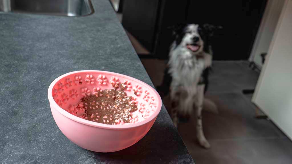 Bol oscillant rose à lécher pour chien - Mangez lentement, vivez plus longtemps Hofman Animal Care