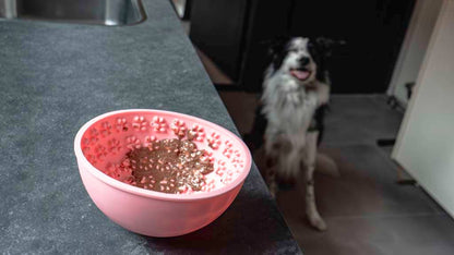 Bol oscillant rose à lécher pour chien - Mangez lentement, vivez plus longtemps Hofman Animal Care