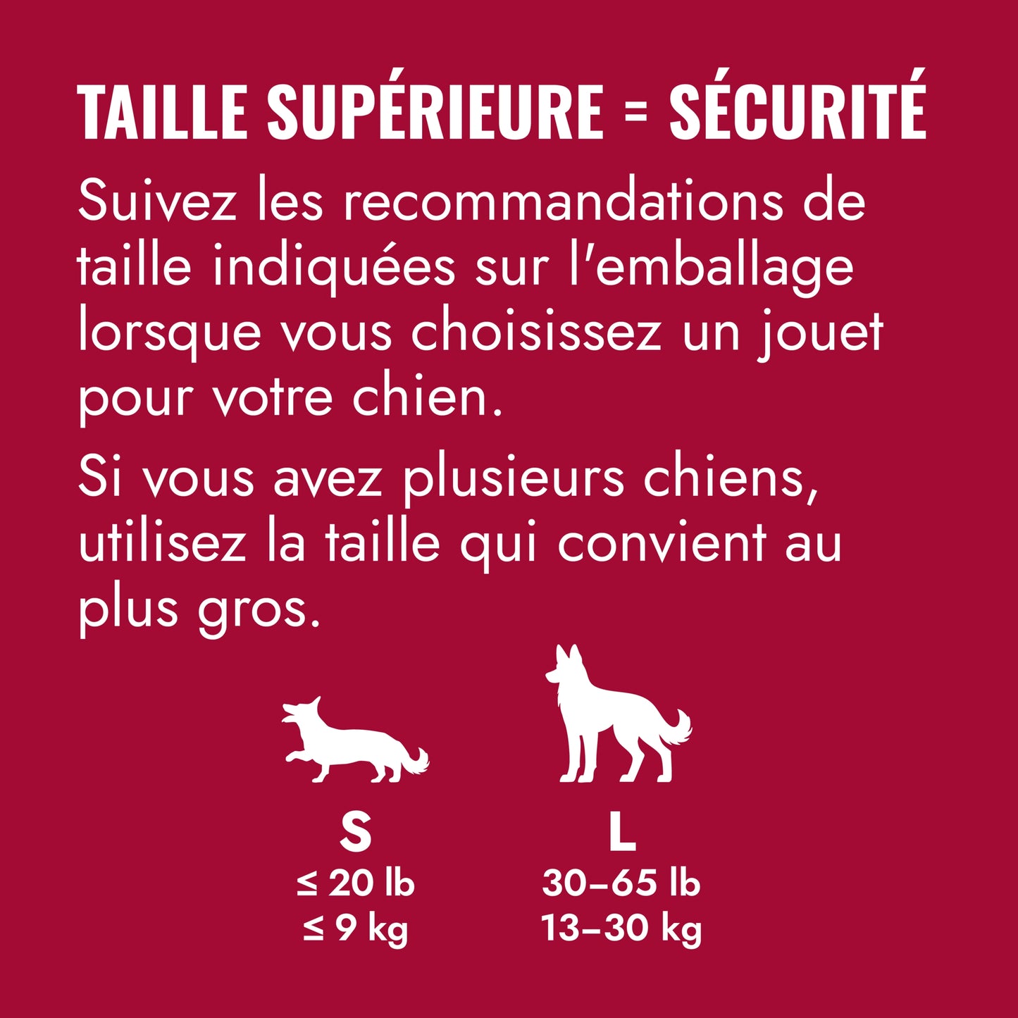 KONG Frisbee Petdiscount