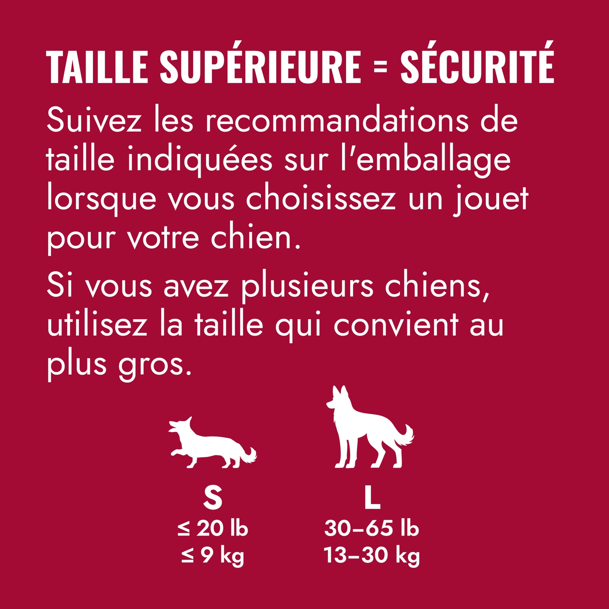 KONG Frisbee Petdiscount