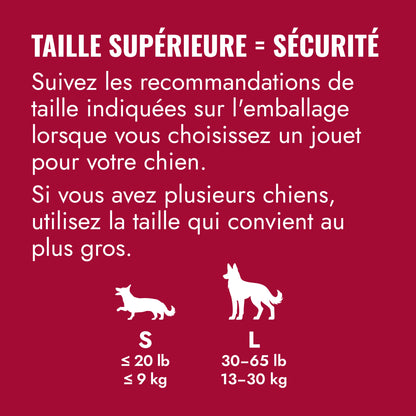 KONG Frisbee Petdiscount