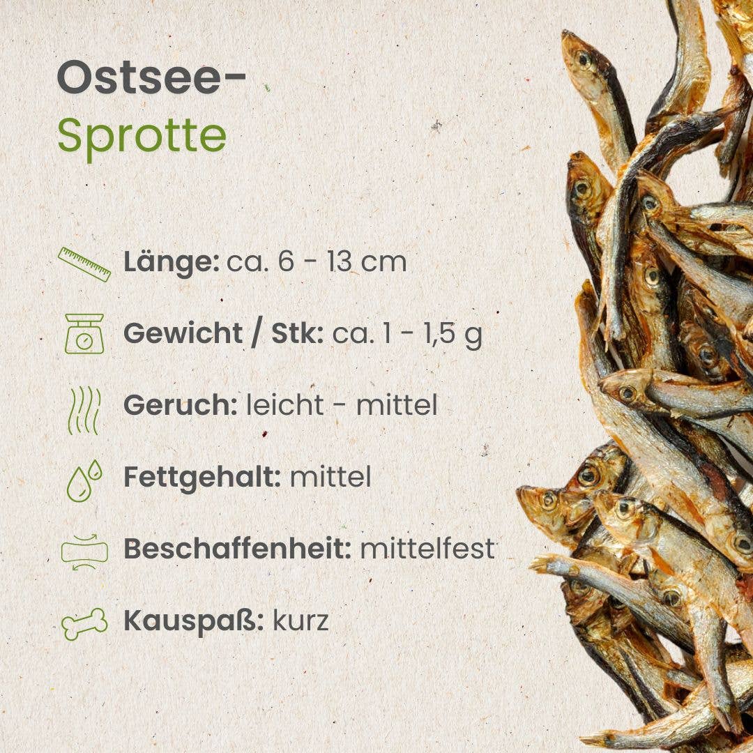 Sprat de la mer Baltique sans conservateurs Kauartikel.com GmbH