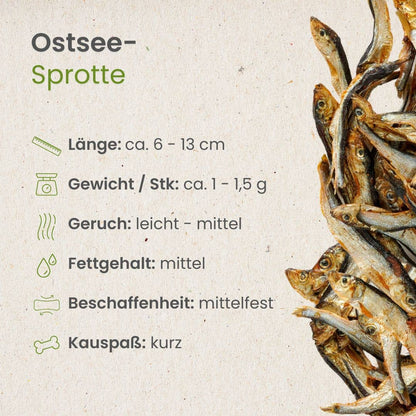 Sprat de la mer Baltique sans conservateurs Kauartikel.com GmbH