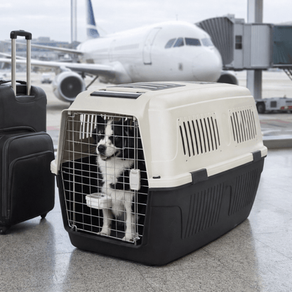 Caisse de transport Topmast Airline Deluxe pour chien et chat - Trufféo