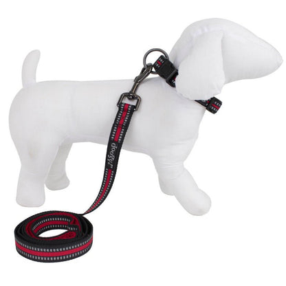 Collier Chien Sport Doogy – Rouge - Trufféo