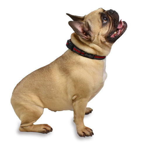 Collier Chien Sport Doogy – Rouge