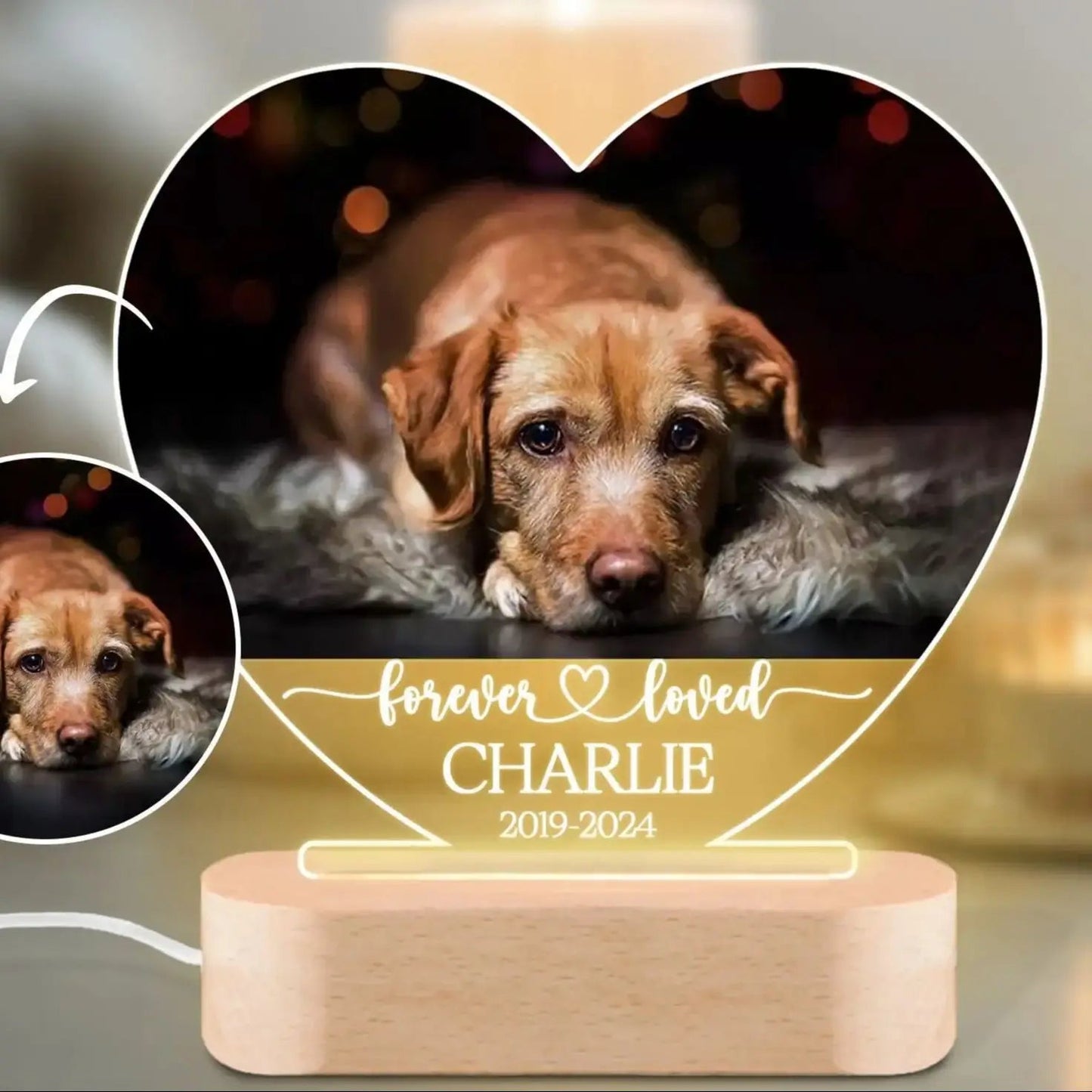 Custom Dog Photo Night Light Dog Memorial Gifts Light Up Pet Memorial Plaque Custom Photo Gift Personalized Gift for Pet Loss - Trufféo