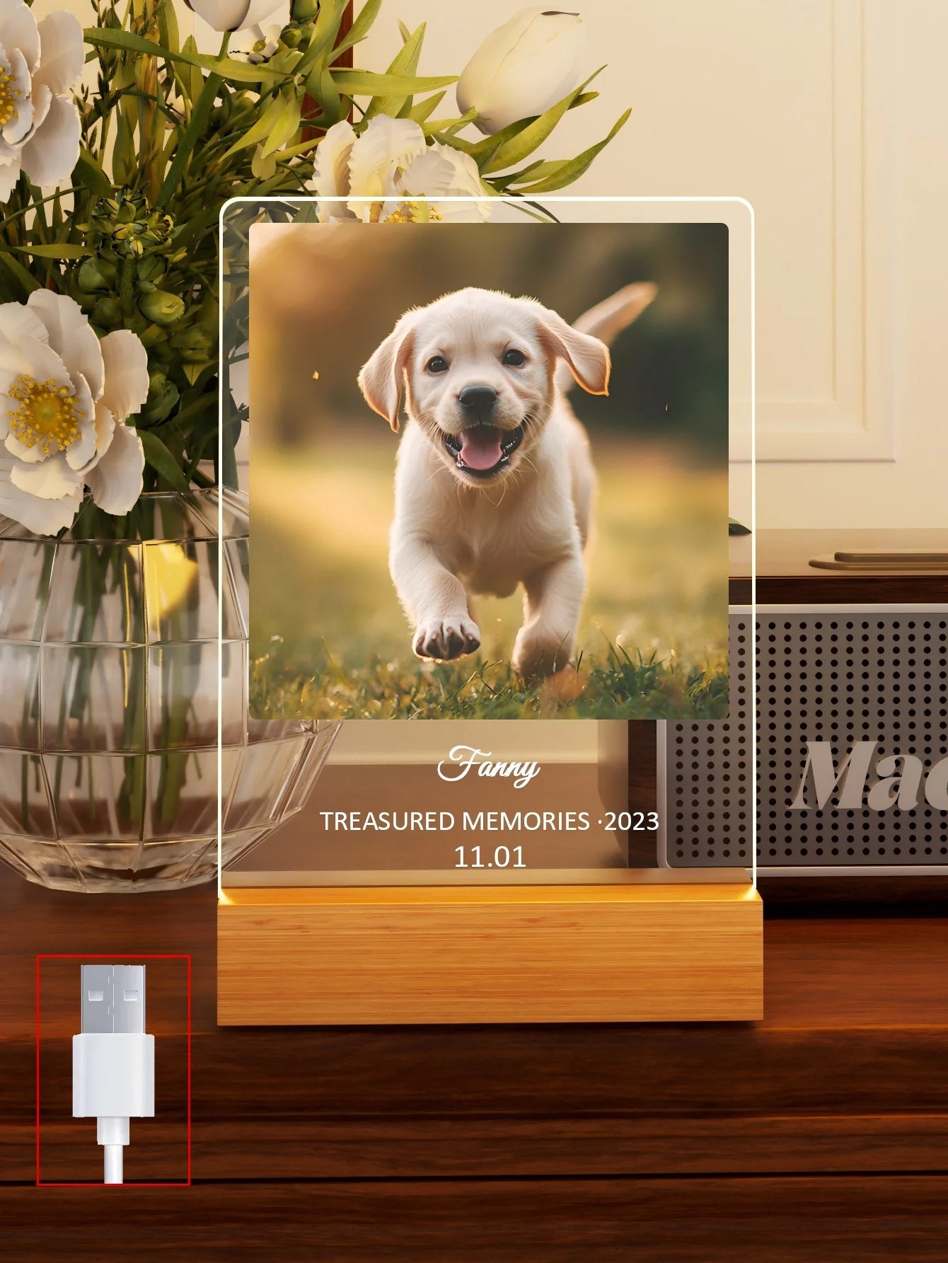 Custom Pet Memorial Nightlight, custom pet Name and date tag, Pet Photo with text Light, Pet Memorial Stand, Pet Gift, Lost Cat - Trufféo