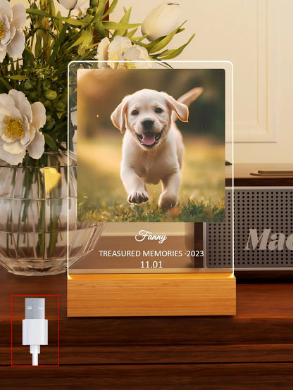 Custom Pet Memorial Nightlight, custom pet Name and date tag, Pet Photo with text Light, Pet Memorial Stand, Pet Gift, Lost Cat - Trufféo
