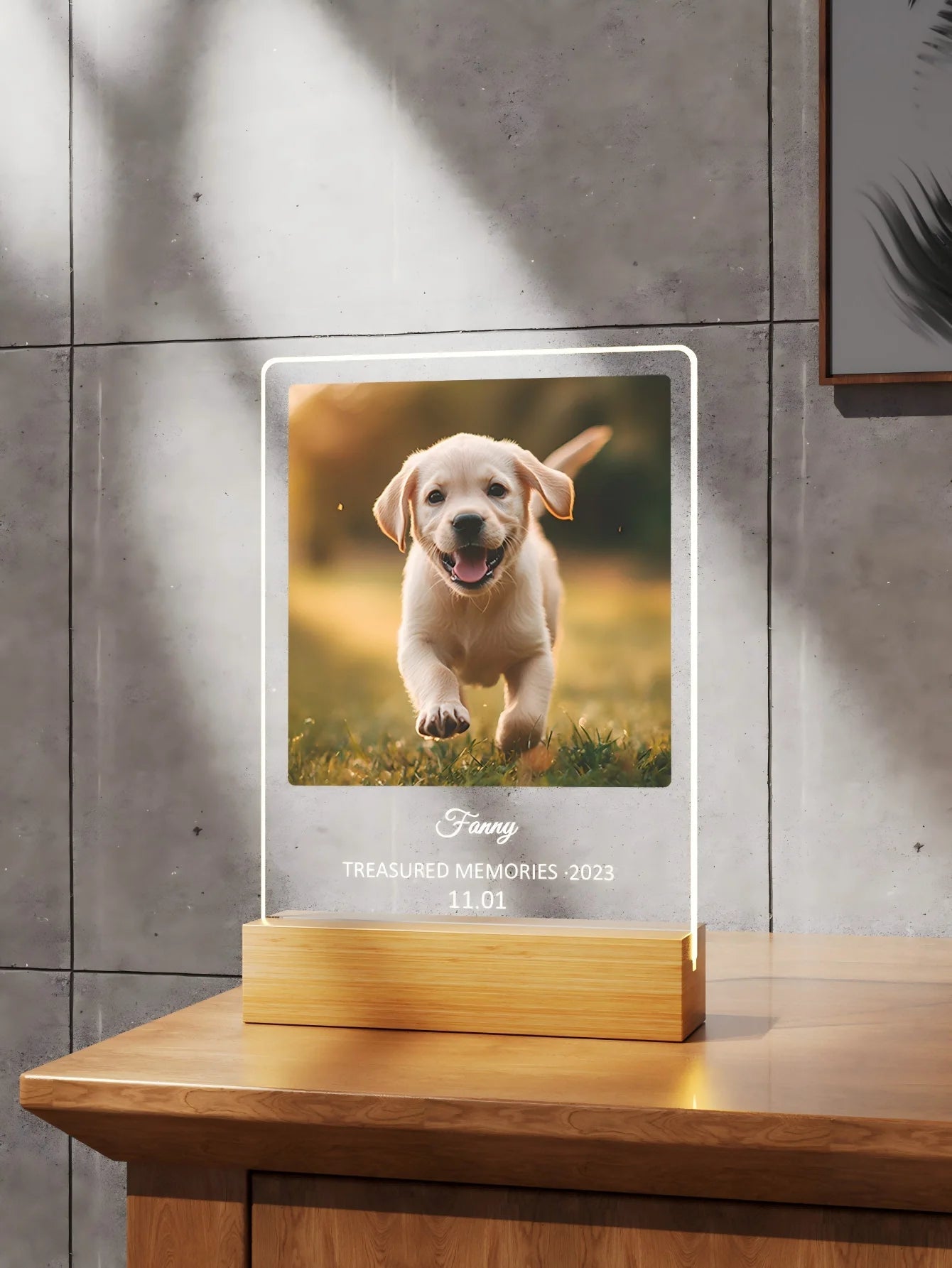 Custom Pet Memorial Nightlight, custom pet Name and date tag, Pet Photo with text Light, Pet Memorial Stand, Pet Gift, Lost Cat - Trufféo
