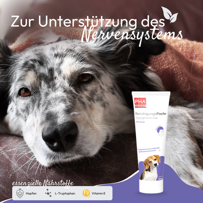 Pâte Apaisante PHA – Soutien naturel contre le stress 🐾100 ml Kauartikel.com GmbH