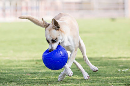 Jolly Ballon de Football 15cm Océan Bleu Hofman Animal Care