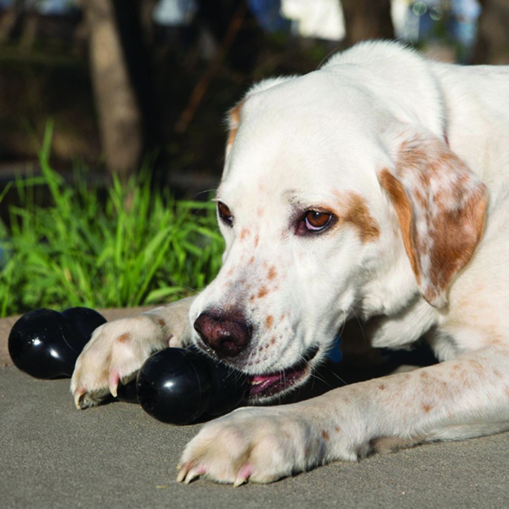 KONG Extreme Goodie Bone Large Zwart