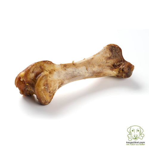 XXL ostrich bone for dogs, preservative-free