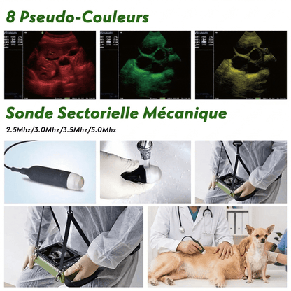 Échographe vétérinaire portable 5,6" pour chiens, moutons et porcs - Trufféo