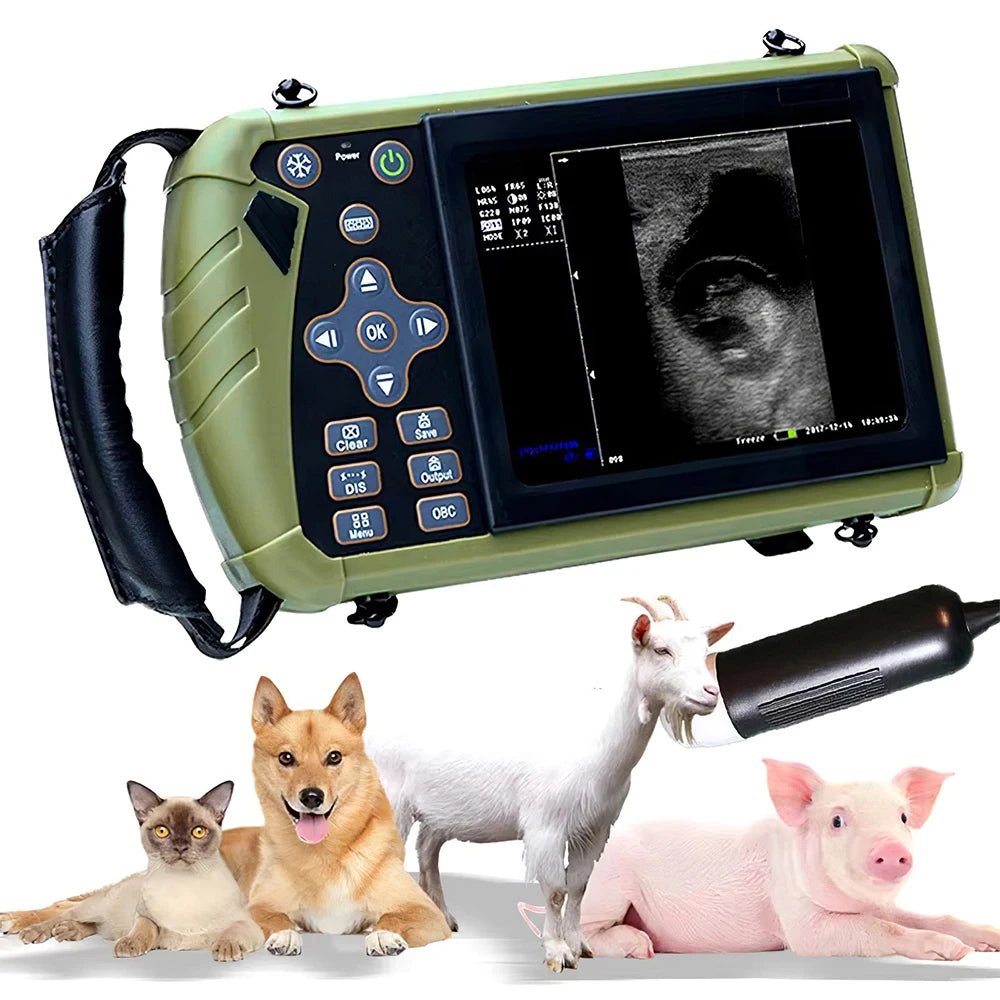 Échographe vétérinaire portable 5,6" pour chiens, moutons et porcs - Trufféo