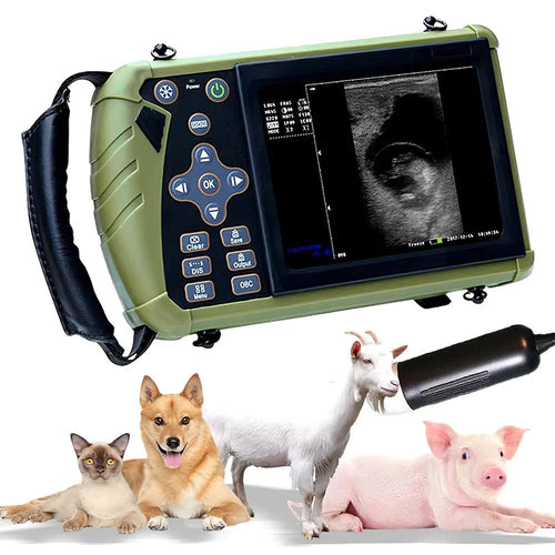 Échographe vétérinaire portable 5,6" pour chiens, moutons et porcs