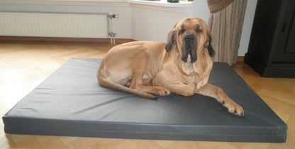 Coussin orthopédique pour chien Topmast - Anthracite - Aspect cuir