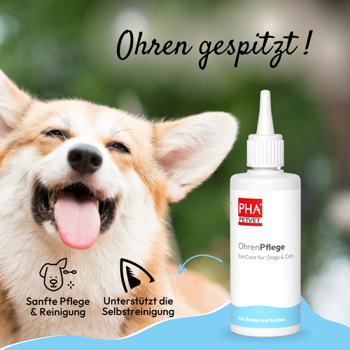 Soin auriculaire PHA pour chiens et chats 100 ml