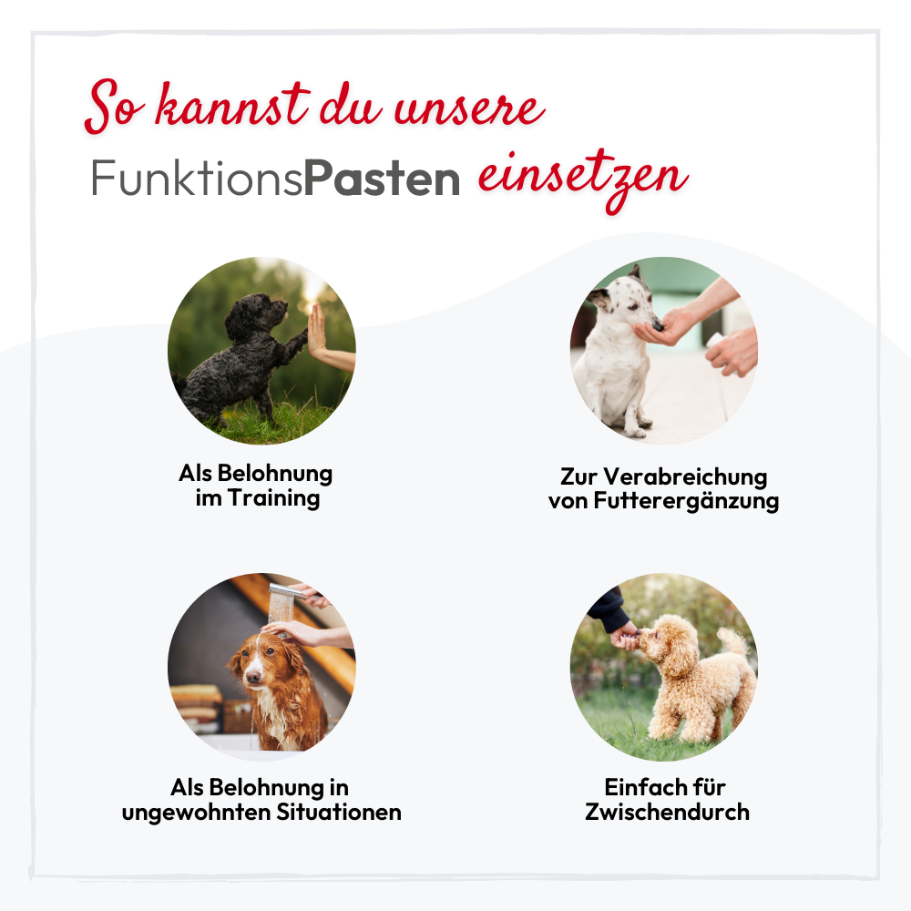 Pâte Apaisante PHA – Soutien naturel contre le stress 🐾100 ml Kauartikel.com GmbH