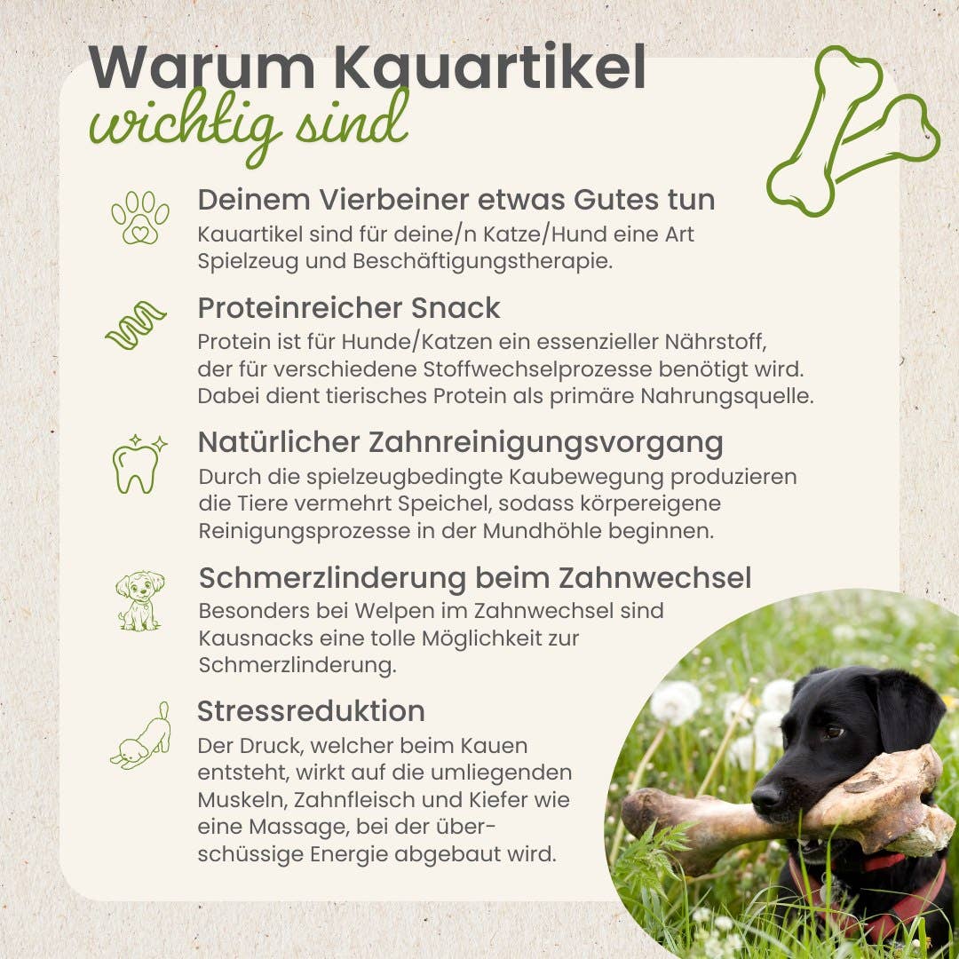 Sprat de la mer Baltique sans conservateurs Kauartikel.com GmbH