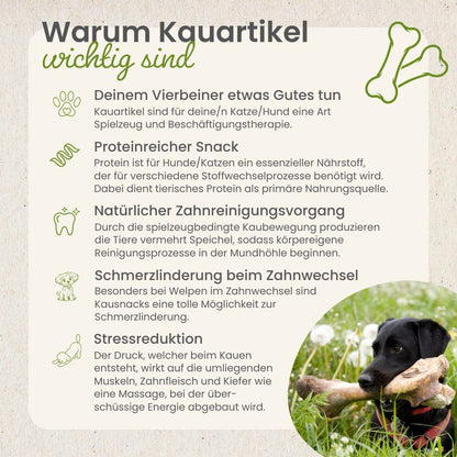 Sprat de la mer Baltique sans conservateurs Kauartikel.com GmbH